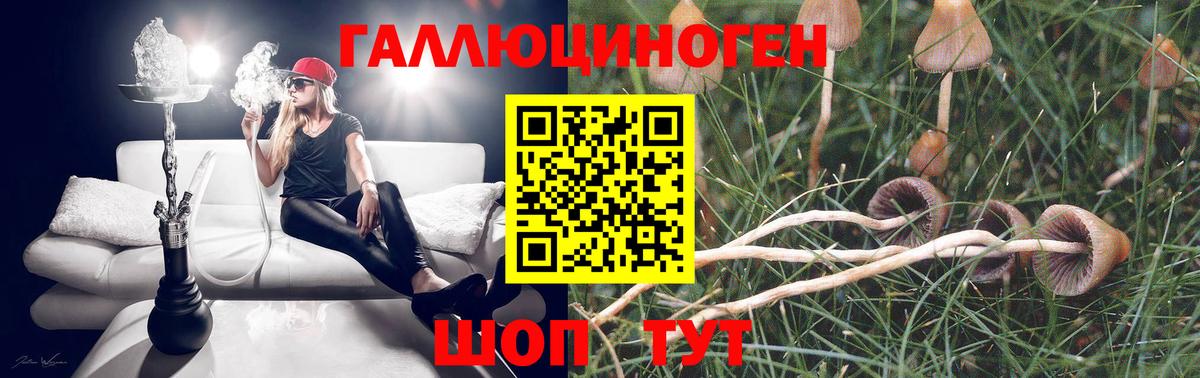 Гусев  Галлюциногенные грибы GOLDEN TEACHER  Галлюциногенные грибы мухоморы  Вход с VPN 